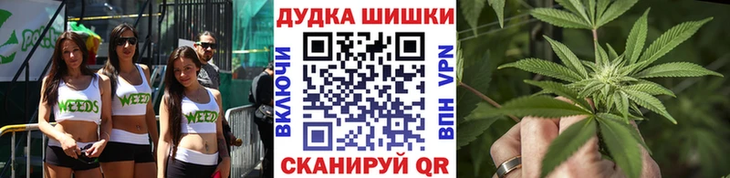 Бошки Шишки планчик  Адыгейск 